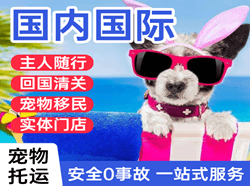 若羌楼兰机场空运国际宠物托运 【国